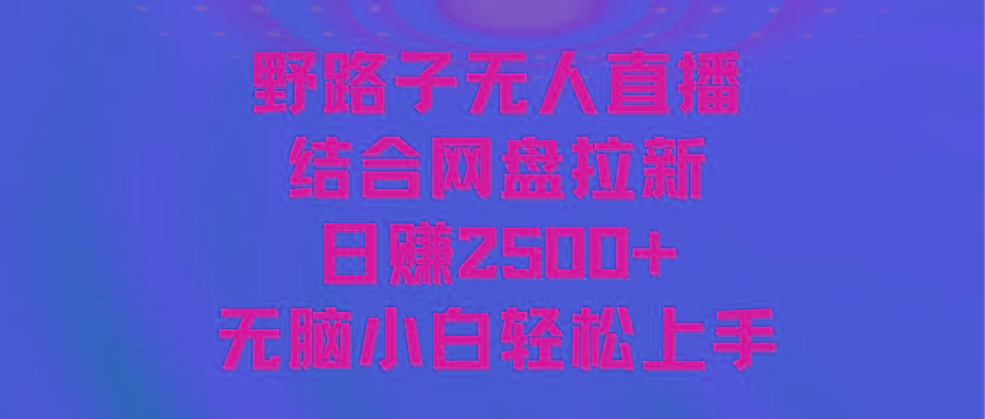 无人直播野路子结合网盘拉新，日赚2500+多平台变现，小白无脑轻松上手操作-kf网创