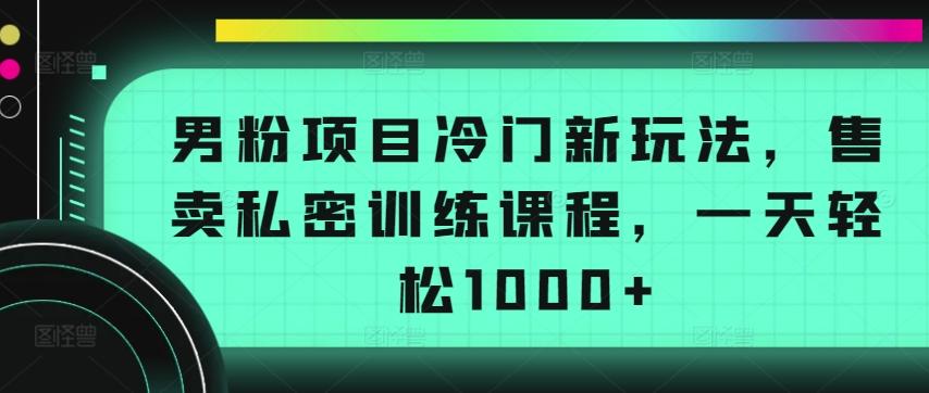 男粉项目冷门新玩法，售卖私密训练课程，一天轻松1000+【揭秘】-kf网创