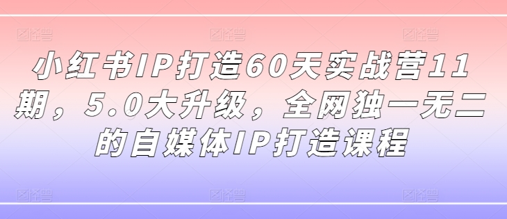 小红书IP打造60天实战营11期，5.0大升级，全网独一无二的自媒体IP打造课程-kf网创