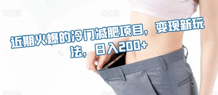 近期火爆的冷门减肥项目，变现新玩法，日入200+-kf网创