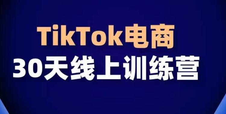 TikTok电商带货30天线上课，不可错过的全球流量洼地！-kf网创