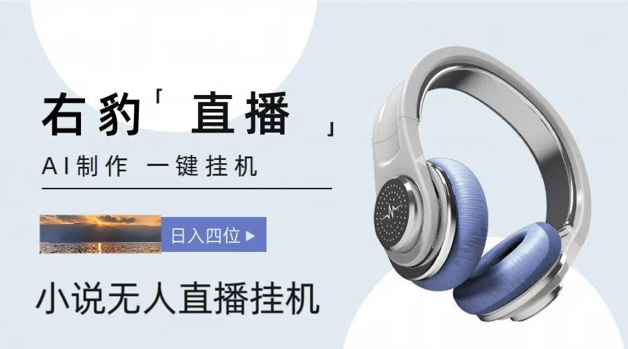 右豹小说无人直播挂机吸金项目，简单易行收益稳定， 月入1000+-kf网创