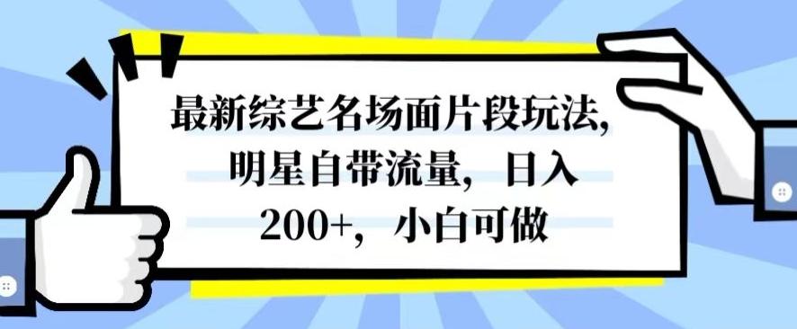 最新综艺名场面片段玩法，明星自带流量，日入200+，小白可做【揭秘】-kf网创