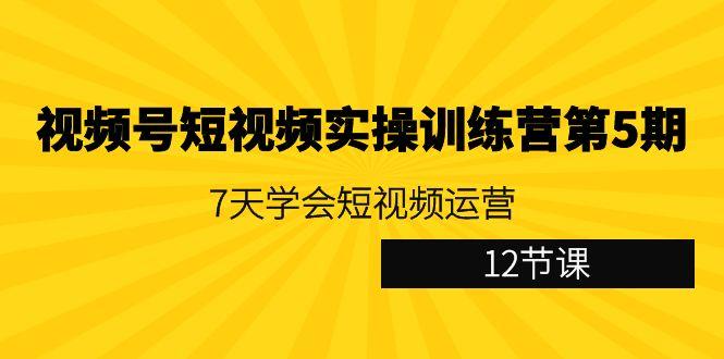 视频号短视频实操训练营第5期：7天学会短视频运营(12节课)-kf网创