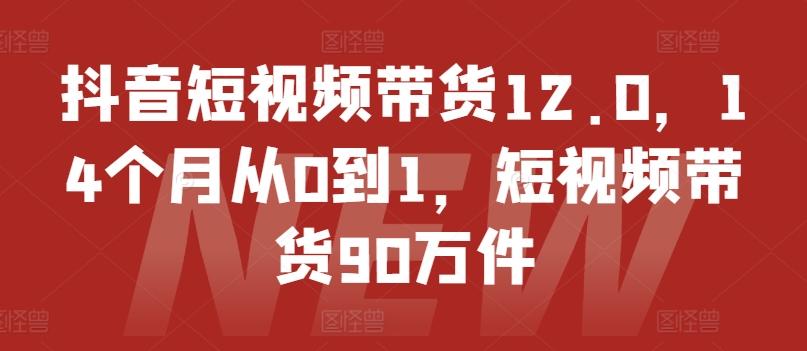 抖音短视频带货12.0，14个月从0到1，短视频带货90万件-kf网创
