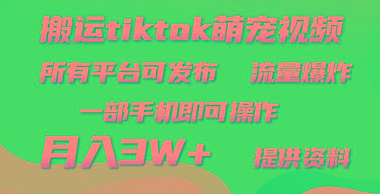 (9618期)搬运Tiktok萌宠类视频，一部手机即可。所有短视频平台均可操作，月入3W+-kf网创