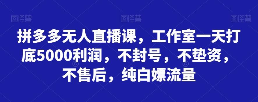 拼多多无人直播课，工作室一天打底5000利润，不封号，不垫资，不售后，纯白嫖流量-kf网创