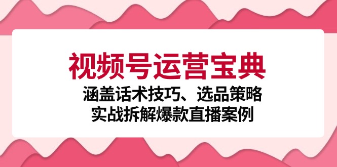 视频号运营宝典：涵盖话术技巧、选品策略、实战拆解爆款直播案例-kf网创