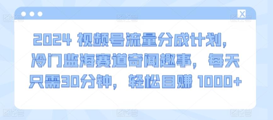 2024视频号流量分成计划，冷门监海赛道奇闻趣事，每天只需30分钟，轻松目赚 1000+【揭秘】-kf网创
