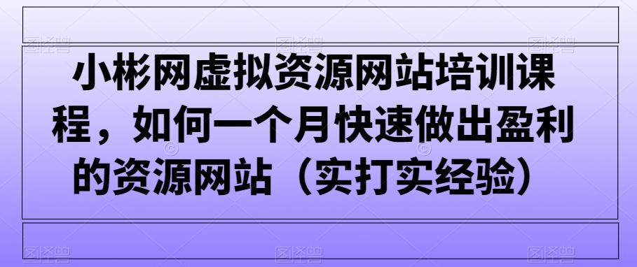 小彬网虚拟资源网站培训课程，如何一个月快速做出盈利的资源网站(实打实经验)-kf网创