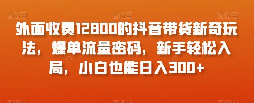 外面收费12800的抖音带货新奇玩法，爆单流量密码，新手轻松入局，小白也能日入300+【揭秘】-kf网创