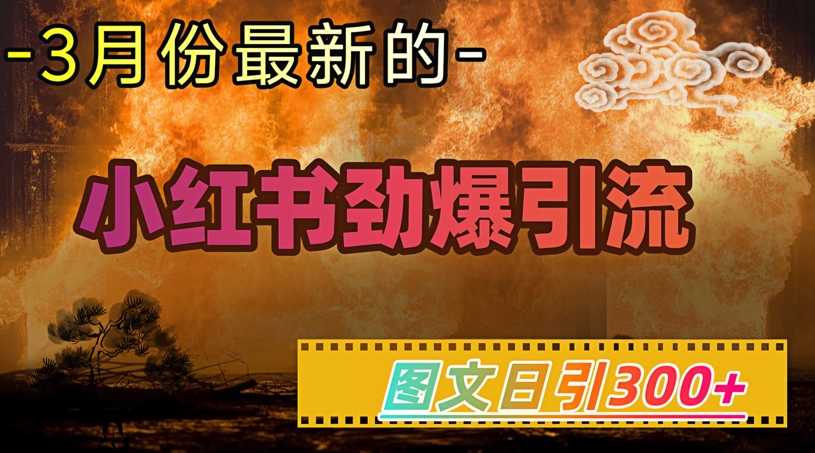 小红书超劲爆引流手段，图文日引300+轻松变现1W-kf网创