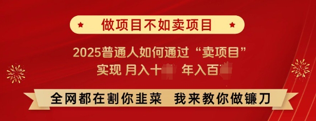 必看，做项目不如卖项目，2025普通人如何通过“卖项目”实现月入十个，年入百个-kf网创