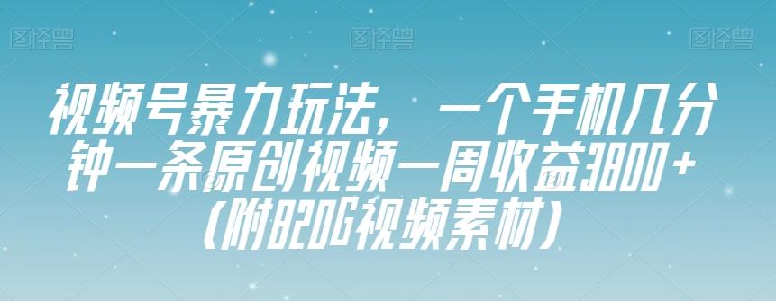 视频号暴力玩法，一个手机几分钟一条原创视频一周收益3800+（附820G视频素材）-kf网创