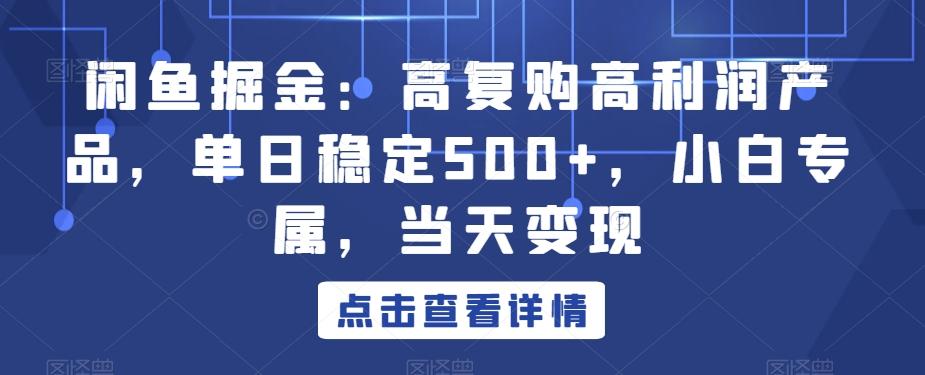 闲鱼掘金：高复购高利润产品，单日稳定500+，小白专属，当天变现-kf网创