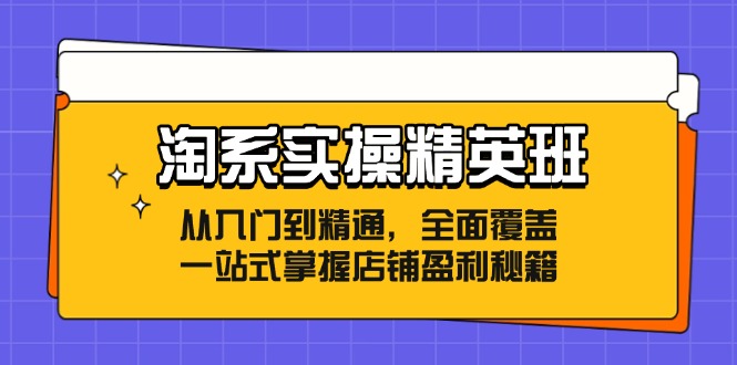 淘系实操精英班：从入门到精通，全面覆盖，一站式掌握店铺盈利秘籍-kf网创