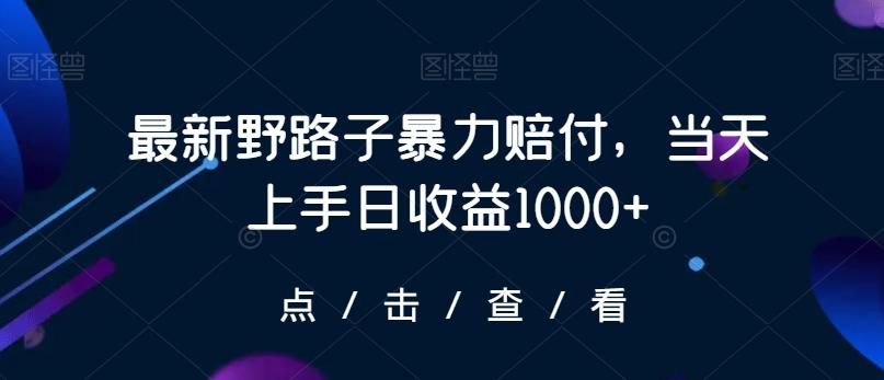 最新野路子暴力赔付，当天上手日收益1000+【仅揭秘】-kf网创