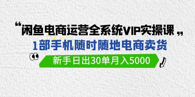 (9547期)闲鱼电商运营全系统VIP实战课，1部手机随时随地卖货，新手日出30单月入5000-kf网创