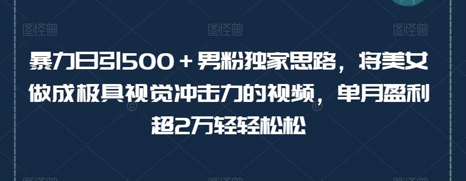 暴力日引500＋男粉独家思路，将美女做成极具视觉冲击力的视频，单月盈利超2万轻轻松松-kf网创