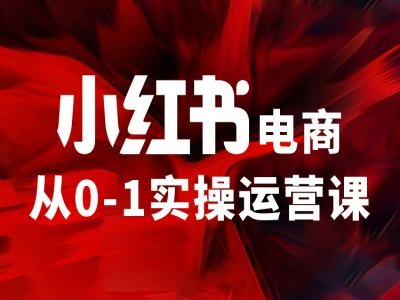 小红书电商从0-1实操运营课，让你从小白到精英-kf网创