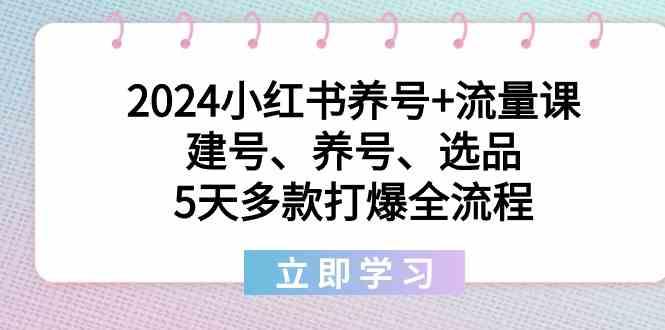 2024小红书养号+流量课：建号、养号、选品，5天多款打爆全流程-kf网创