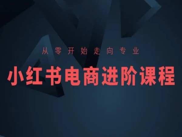 从零开始走向专业，小红书电商进阶课程-kf网创