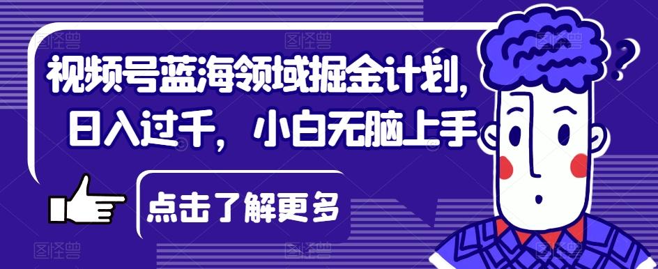 视频号蓝海领域掘金计划，日入过千，小白无脑上手【揭秘】-kf网创