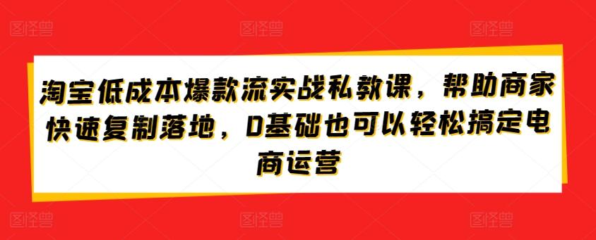 淘宝低成本爆款流实战私教课，帮助商家快速复制落地，0基础也可以轻松搞定电商运营-kf网创