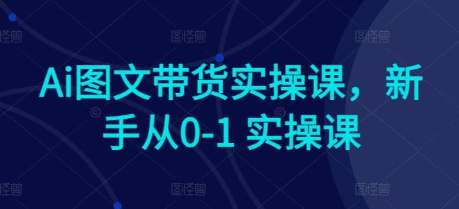 Ai图文带货实操课，新手从0-1 实操课-kf网创