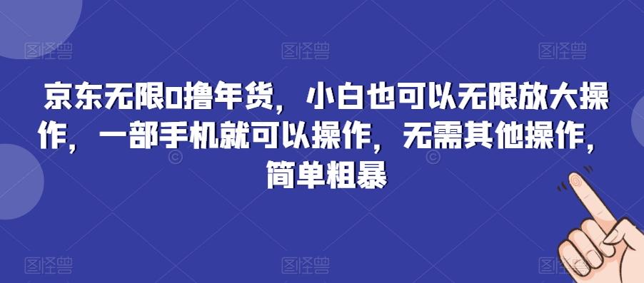 京东无限0撸年货，小白也可以无限放大操作，一部手机就可以操作，无需其他操作，简单粗暴-kf网创