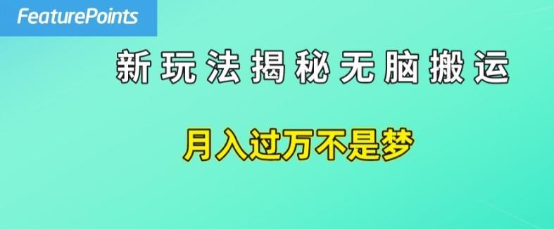 简单操作，每天50美元收入，搬运就是赚钱的秘诀【揭秘】-kf网创