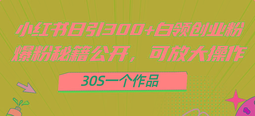 小红书日引300+高质白领创业粉，可放大操作，爆粉秘籍！30s一个作品-kf网创
