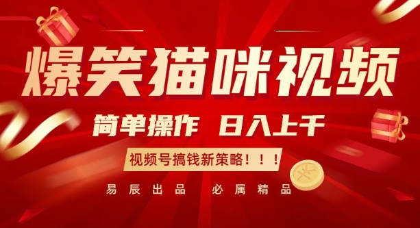 爆笑猫咪视频：简单操作，日入过K，视频号搞钱新策略【揭秘】-kf网创