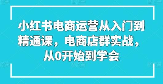 小红书电商运营从入门到精通课，电商店群实战，从0开始到学会-kf网创