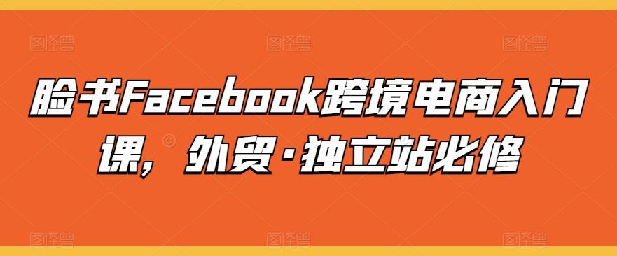 脸书Facebook跨境电商入门课，外贸·独立站必修-kf网创