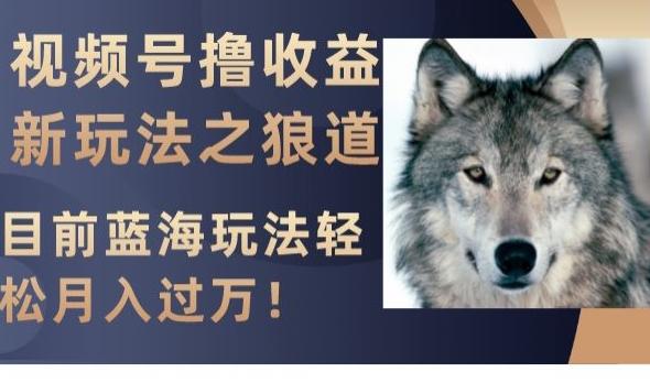 视频号撸收益新玩法之狼道，目前蓝海玩法，轻松月入过万【揭秘】-kf网创