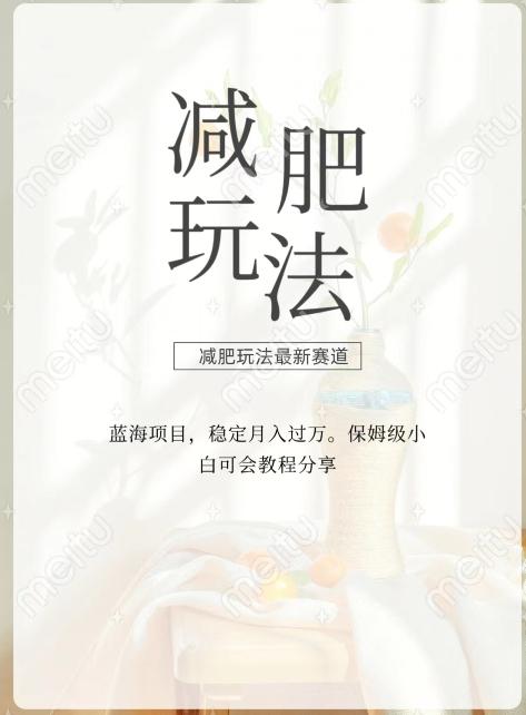 减肥流量主新玩法，轻松月入1W，可矩阵操作收入翻倍-kf网创