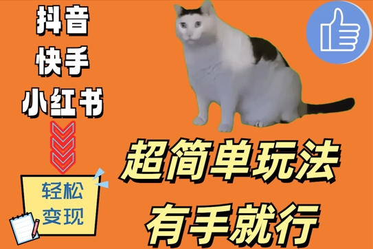 超简单玩法，有手就行，靠猫咪视频日入500+【揭秘】-kf网创