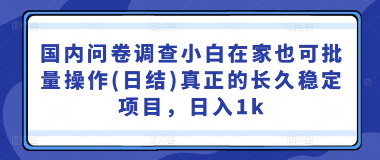 国内问卷调查小白在家也可批量操作(日结)真正的长久稳定项目，日入1k【揭秘】-kf网创