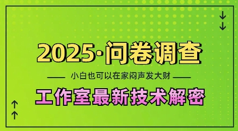 2025问卷调查最新工作室技术解密：一个人在家也可以闷声发大财，小白一天2张，可矩阵放大【揭秘】-kf网创