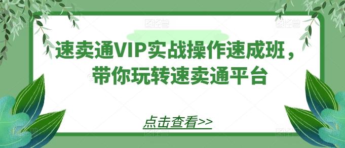 速卖通VIP实战操作速成班，带你玩转速卖通平台-kf网创