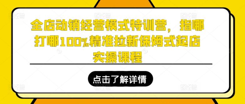 全店动销经营模式特训营，指哪打哪100%精准拉新保姆式起店实操课程-kf网创