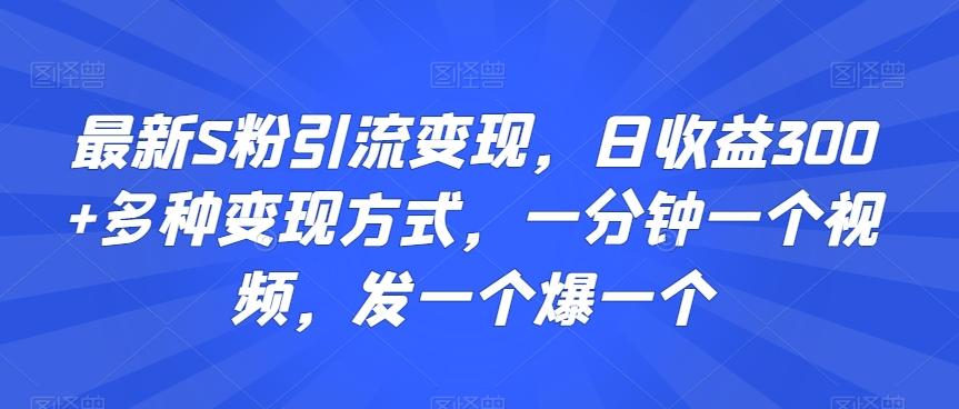 最新S粉引流变现，日收益300+多种变现方式，一分钟一个视频，发一个爆一个【揭秘】-kf网创