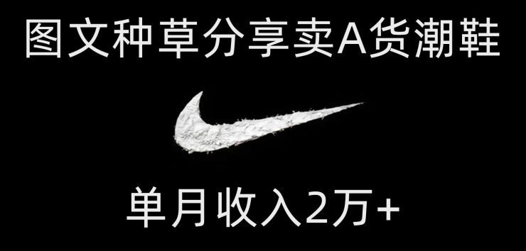 靠图文种草分享卖A货潮鞋，每天一小时，单月收入2万+【揭秘】-kf网创