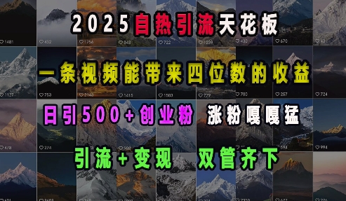 2025自热引流天花板，一条视频能带来四位数的收益，引流+变现双管齐下，日引500+创业粉，涨粉嘎嘎猛-kf网创