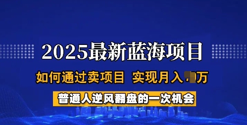 2025蓝海项目，普通人如何通过卖项目，实现月入过W，全过程【揭秘】-kf网创