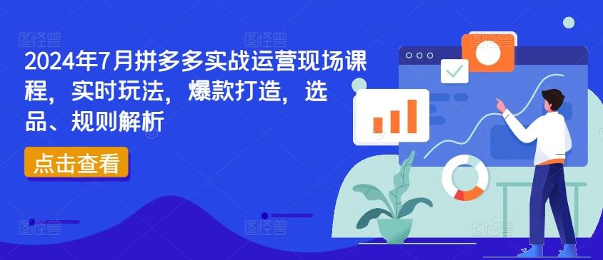 2024年7月拼多多实战运营现场课程，实时玩法，爆款打造，选品、规则解析-kf网创