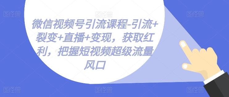 微信视频号引流课程-引流+裂变+直播+变现，获取红利，把握短视频超级流量风口-kf网创