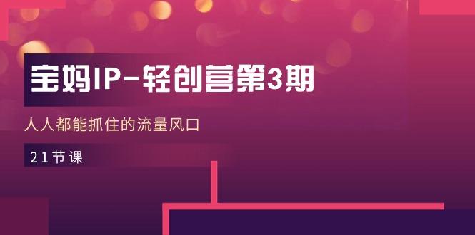 宝妈IP-轻创营第3期，人人都能抓住的流量风口(21节课-kf网创