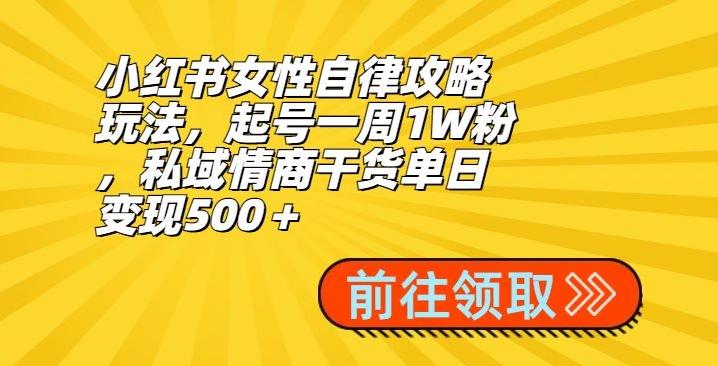 小红书女性自律攻略玩法，起号一周1W粉，私域情商干货单日变现500＋-kf网创